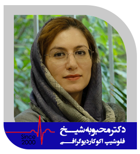 دکتر محبوبه شیخ
